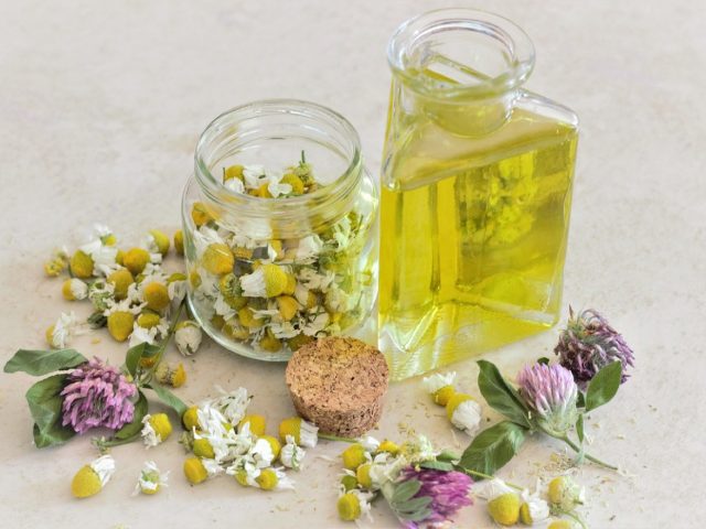 Comparatif des bocaux pour huiles et condiments