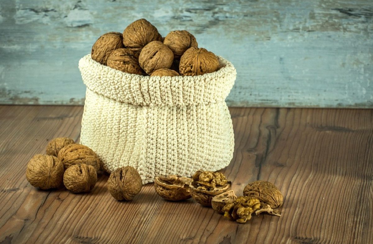 Comparatif bouteilles isothermes pour repas nomades