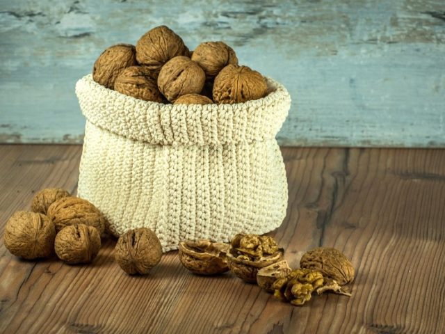 Comparatif bouteilles isothermes pour repas nomades