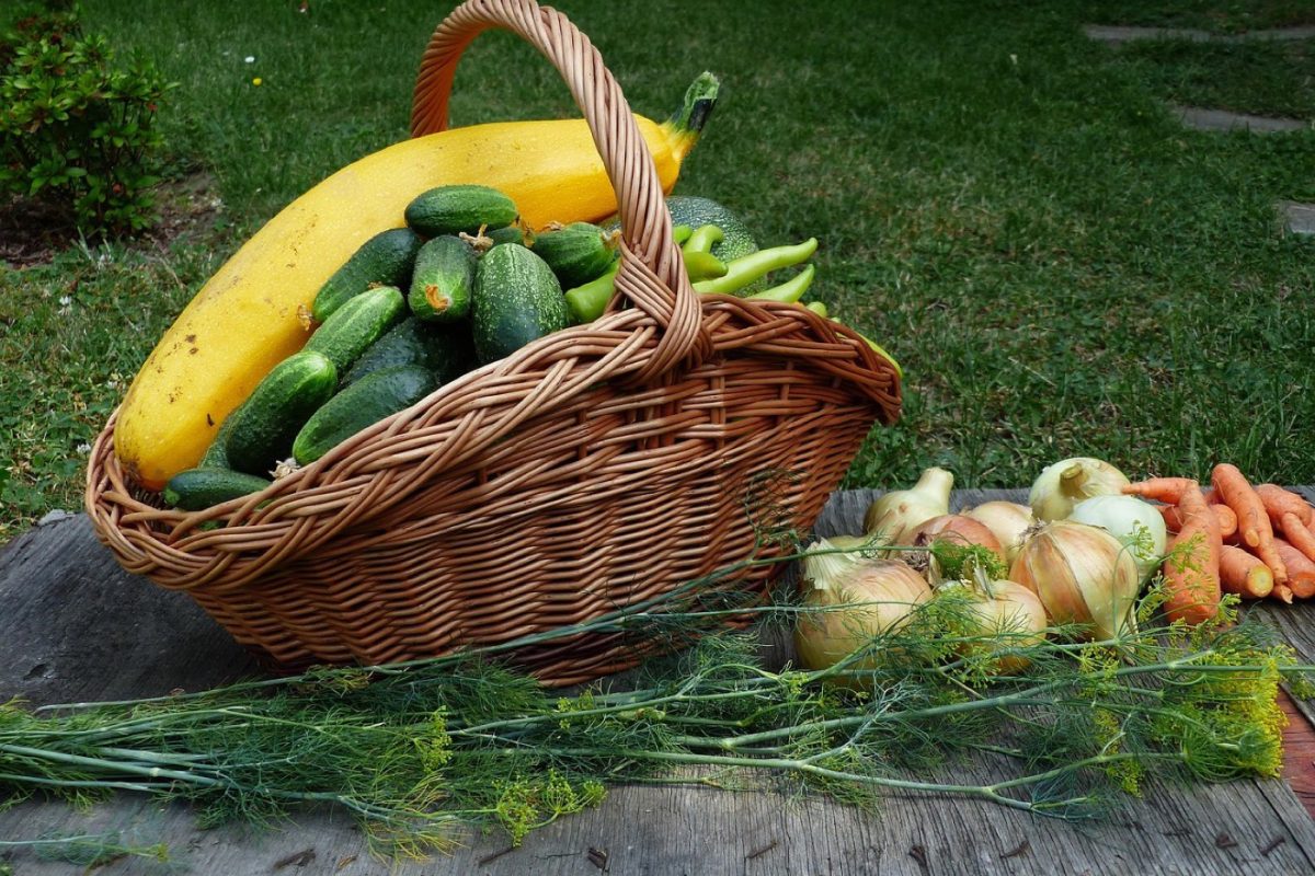 Panier hebdomadaire de fruits et légumes : guide pratique