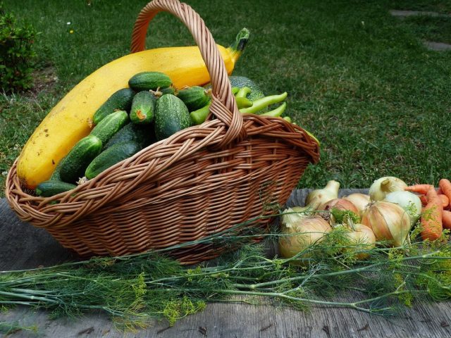 Panier hebdomadaire de fruits et légumes : guide pratique