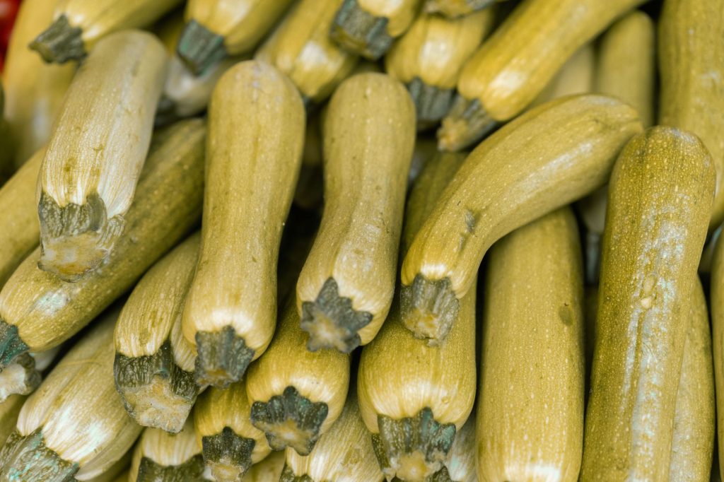 Comment bien conserver les courgettes et profiter de leur saison ?