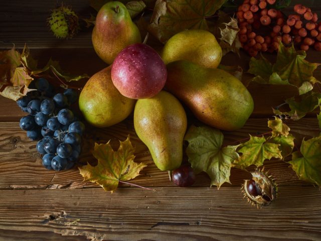Comment adapter son alimentation pour rester en forme cet automne ?