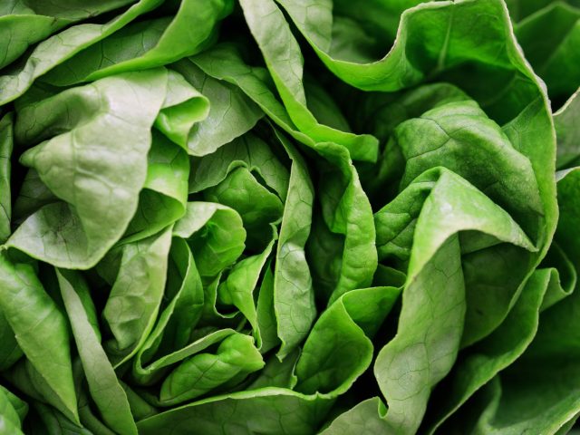 Quelles salades originales préparer cet été ?