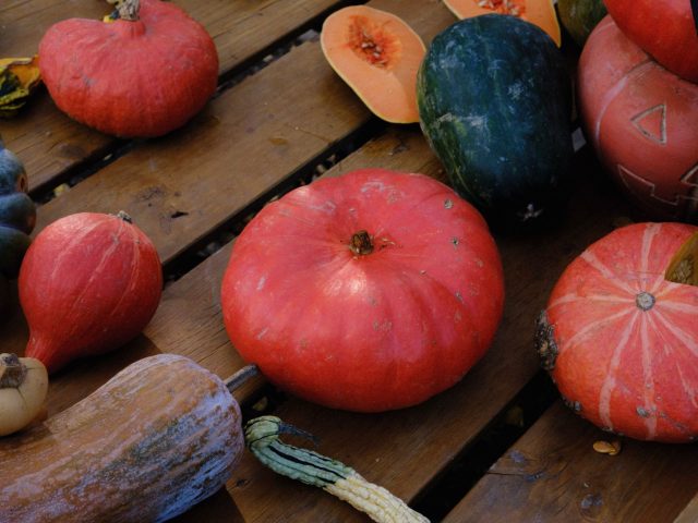 Pourquoi adapter votre alimentation à l’automne est essentiel pour votre bien-être ?