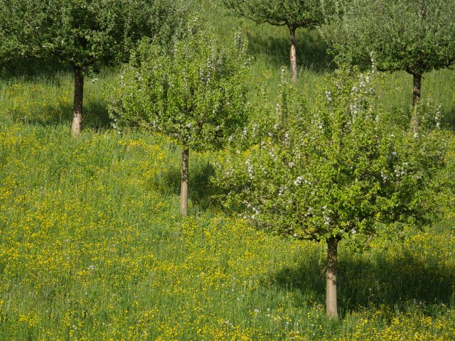 Préparer son corps aux allergies saisonnières : conseils et stratégies