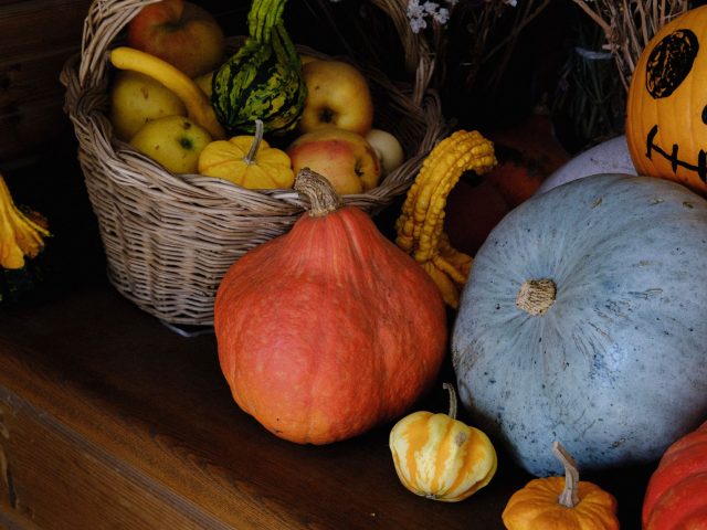 Alimentation automnale : comment rester en forme malgré le changement de saison