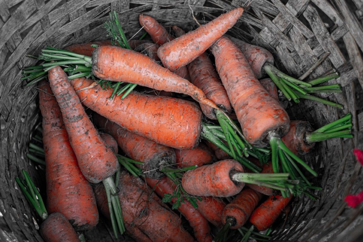 Top snacks sains pour panier produits frais