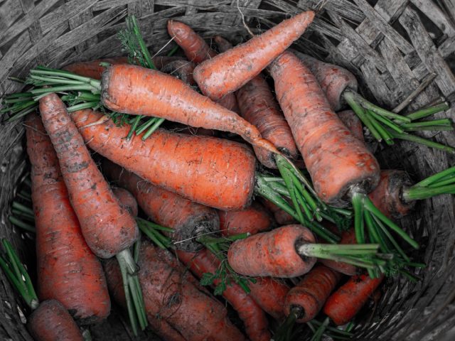 Top snacks sains pour panier produits frais