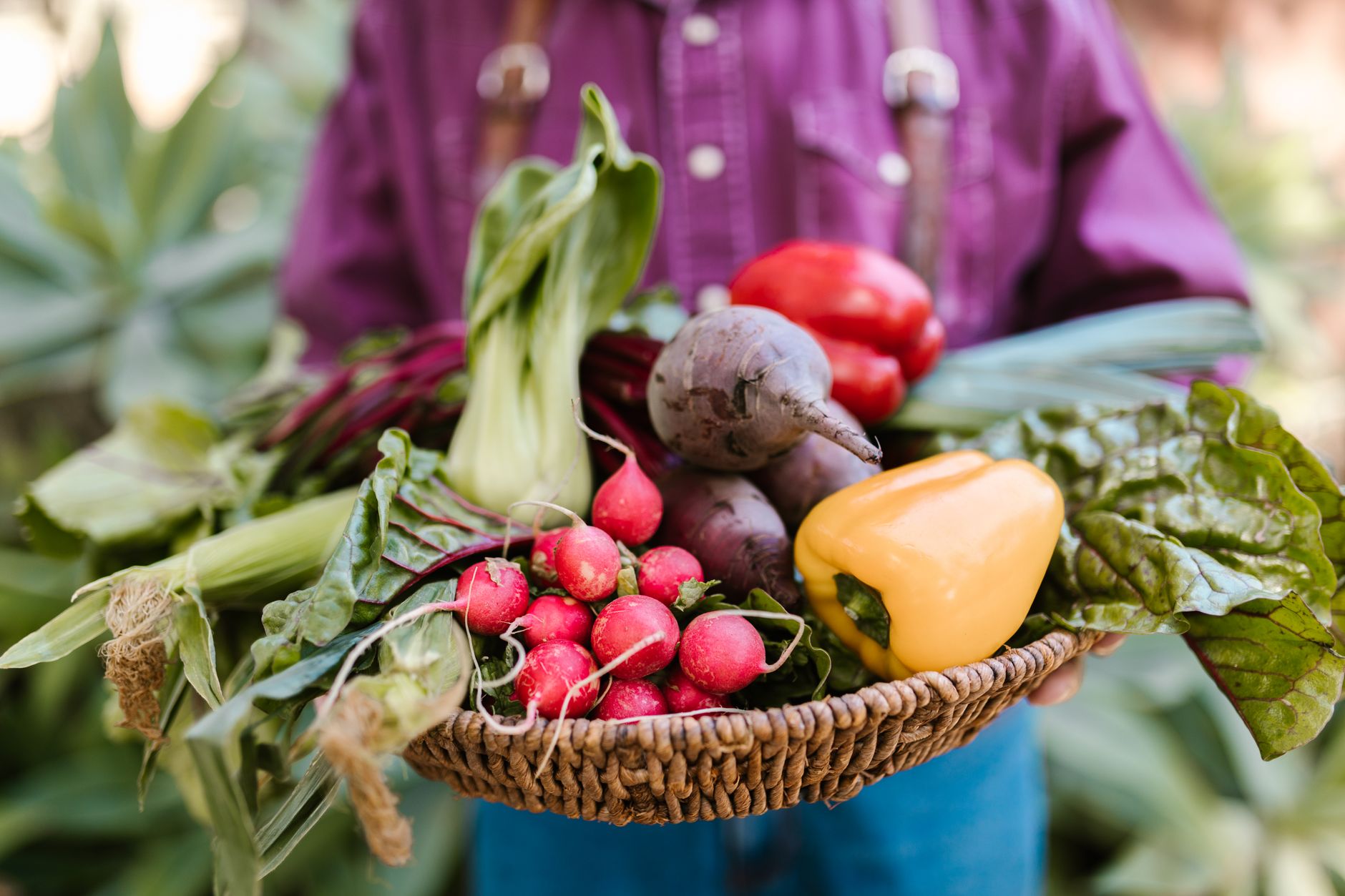 Recettes économiques pour un panier de légumes de saison